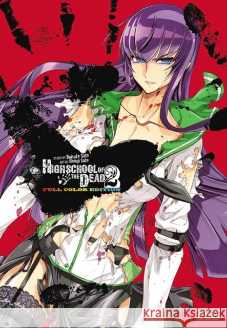 Highschool of the Dead Color Omnibus, Vol. 2 Daisuke Sato 9780316250863  - książka