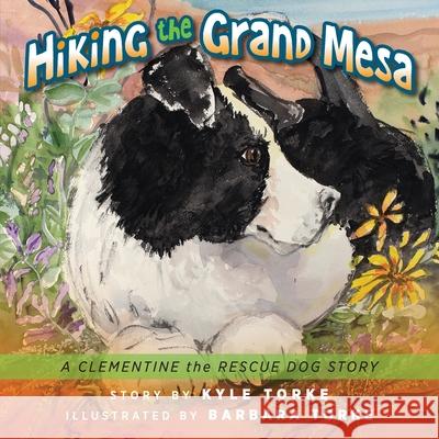Hiking the Grand Mesa: A Clementine the Rescue Dog Story Torke, Kyle 9781615995059 Loving Healing Press - książka