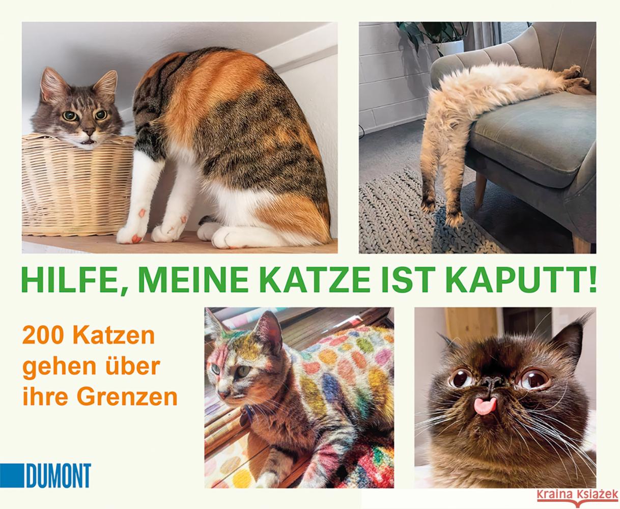 Hilfe, meine Katze ist kaputt  9783832169350 DuMont Buchverlag Gruppe - książka