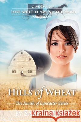 Hills of Wheat: The Amish of Lancaster Sarah Price 9781475072501 Createspace - książka