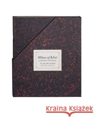 Hilma af Klint: The Five’s Sketchbooks, Nos. S2, S6 and S13: From 5 October 1896 to 10 January 1906 Sigrid Hedman 9789189425415 Stolpe Publishing - książka