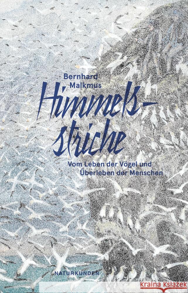 Himmelsstriche Malkmus, Bernhard 9783751840231 Matthes & Seitz Berlin - książka