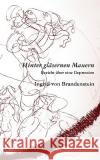 Hinter gläsernen Mauern: Bericht über eine Depression Brandenstein, Ingrid Von 9783837008944 Books on Demand