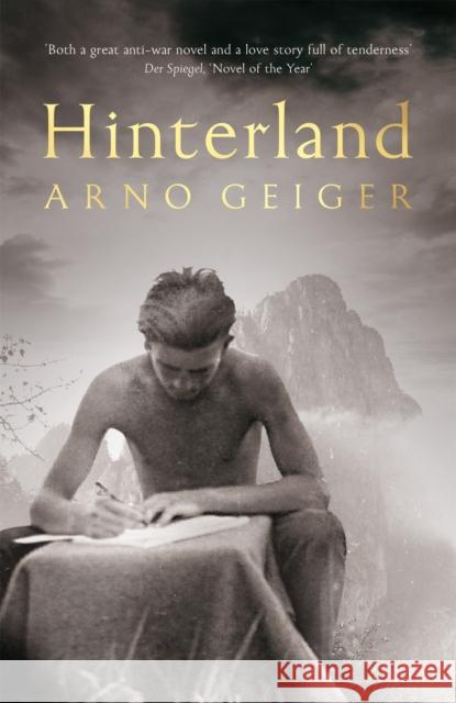 Hinterland Arno Geiger 9781529003161 Pan Macmillan - książka