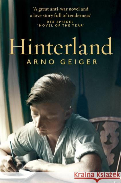 Hinterland Arno Geiger 9781529003192 Pan Macmillan - książka