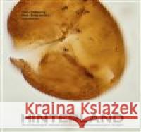 Hinterland. Archeologie severočeských pískovcových krajin Petr Šída 9788090917781 Kodudek - książka