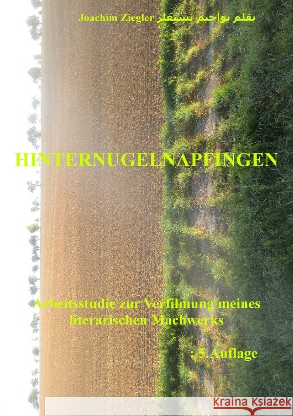 Hinternugelnapfingen 5.Auflage Januar 2020 Ziegler, Joachim 9783750277076 epubli - książka