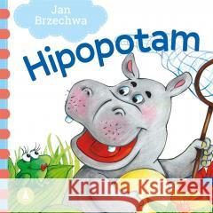 Hipopotam Jan Brzechwa 9788382074550 Skrzat - książka