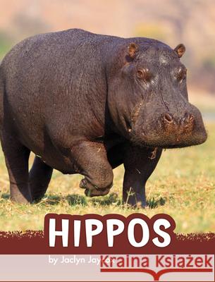 Hippos Jaclyn Jaycox 9781663971883 Pebble Books - książka