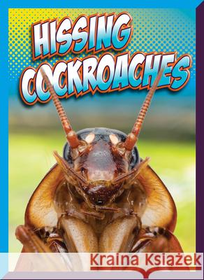Hissing Cockroaches Marysa Storm 9781645825913 Black Rabbit Books - książka