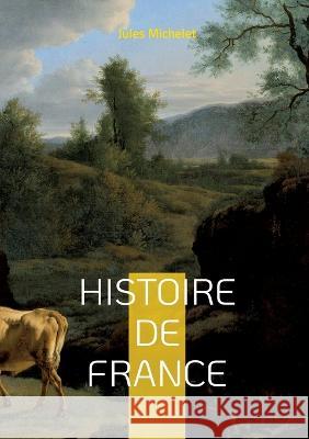 Histoire de France: Volume 19 Jules Michelet 9782322456093 Books on Demand - książka