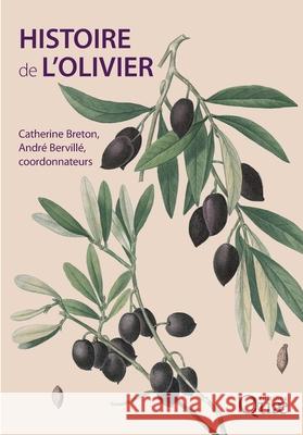 Histoire de l'olivier Catherine Breton Andr? Bervill? 9782759218226 Eyrolles Group - książka