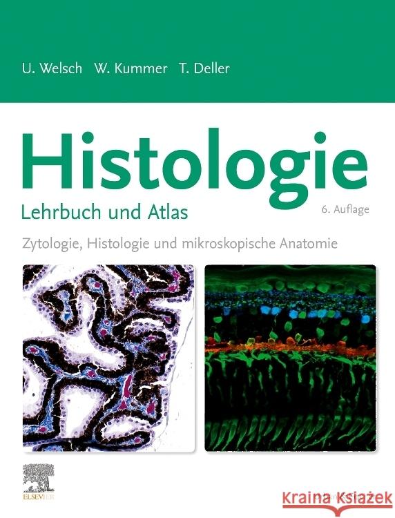 Histologie - Lehrbuch und Atlas Welsch, Ulrich, Justus-Liebig-Universität, Deller, Thomas 9783437444272 Elsevier, München - książka