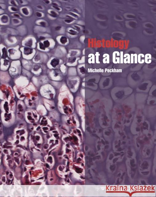 Histology at a Glance  Peckham 9781444333329  - książka