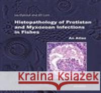 Histopathology of Protistan and Myxozoan Infections in Fishe Jiří Lom 9788020015464 Academia - książka