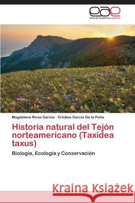 Historia natural del Tejón norteamericano (Taxidea taxus) Rivas García, Magdalena 9783659073069 Editorial Academica Espanola - książka