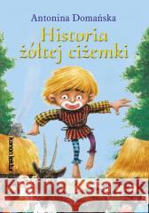 Historia żółtej ciżemki Antonina Domańska 9788382799446 Siedmioróg - książka