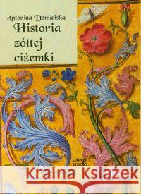 Historia żółtej ciżemki audiobook Domańska Antonina 5907465148160 Lissner Studio - książka