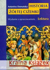 Historia Żółtej Ciżemki z oprac. GREG Domańska Antonina 9788373272033 Greg - książka
