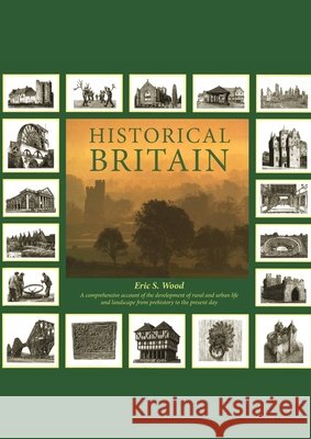 Historical Britain  Wood, Eric 9781846557354  - książka