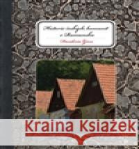 Historie českých komunit v Banátu Desideriu Gesce 9788087054314 Herrmann & synovÃ© - książka