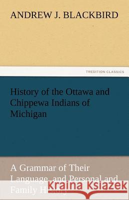 History of the Ottawa and Chippewa Indians of Michigan  9783842428751 tredition GmbH - książka