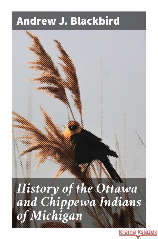 History of the Ottawa and Chippewa Indians of Michigan Blackbird, Andrew J. 9788027290000 Good Press - książka