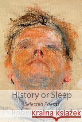 History or Sleep - Selected Poems Robert Sheppard 9781848613980 Shearsman Books - książka