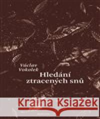 Hledání ztracených snů Václav Vokolek 9788075305374 Malvern - książka