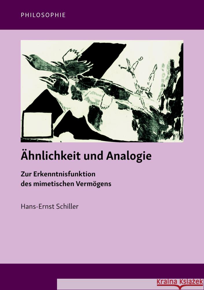 Ähnlichkeit und Analogie Schiller, Hans-Ernst 9783732907670 Frank & Timme - książka