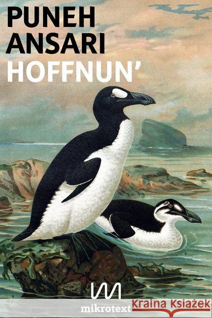 Hoffnun' : Posts Ansari, Puneh 9783944543482 mikrotext - książka