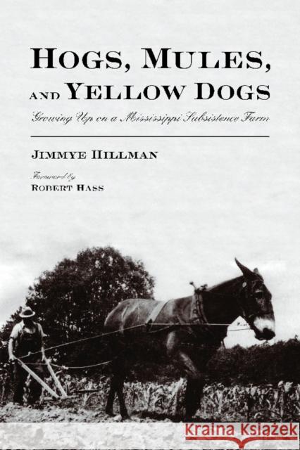 Hogs, Mules, and Yellow Dogs: Growing Up on a Mississippi Subsistence Farm Hillman, Jimmye 9780816529919 University of Arizona Press - książka