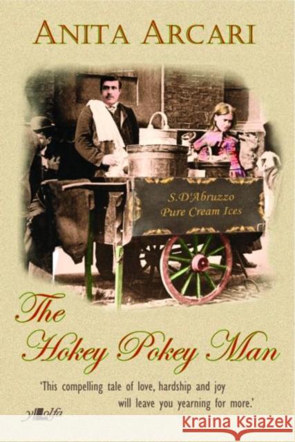 Hokey Pokey Man, The Anita Arcari 9781847712578 Lolfa - książka
