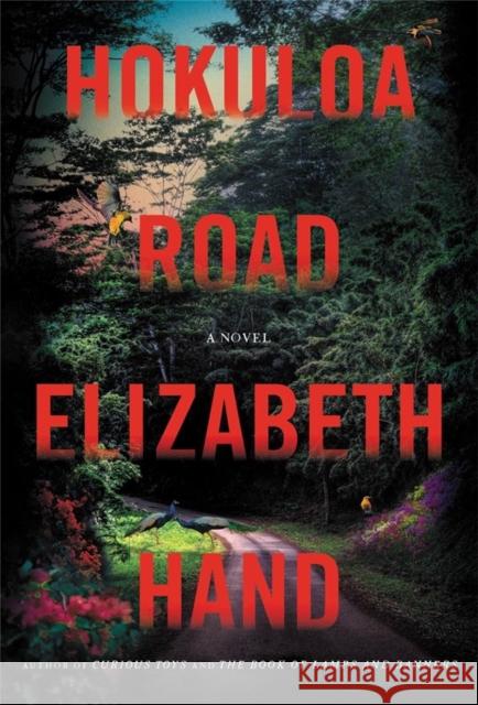 Hokuloa Road Hand, Elizabeth 9780316542043 Mulholland Books - książka