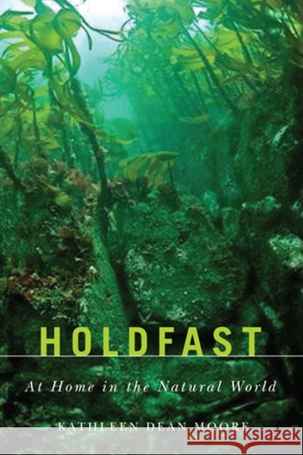 Holdfast: At Home in the Natural World Moore, Kathleen Dean 9780870717086 Oregon State University Press - książka