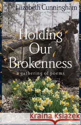 Holding Our Brokenness: a gathering of poems Elizabeth Cunningham 9781944190224 Imagination Fury Arts - książka
