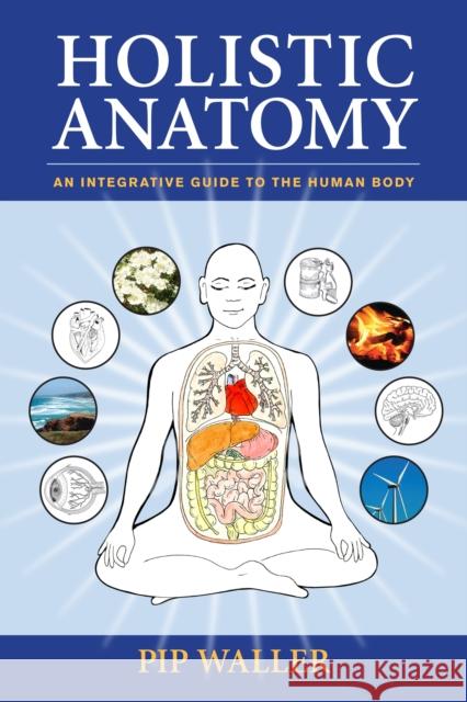 Holistic Anatomy: An Integrative Guide to the Human Body Waller, Pip 9781556438653 North Atlantic Books,U.S. - książka