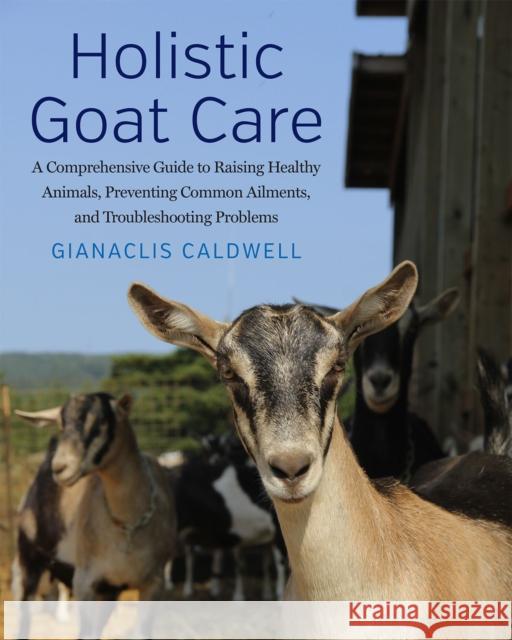 Holistic Goat Care: A Comprehensive Guide to Raising Healthy Animals, Preventing Common Ailments, and Troubleshooting Problems Gianaclis Caldwell 9781645022220 Chelsea Green Publishing Co - książka