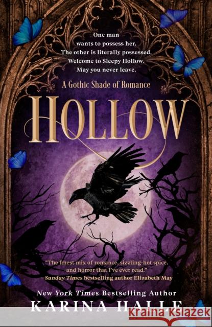 Hollow Karina Halle 9780593952344 Ace Books - książka