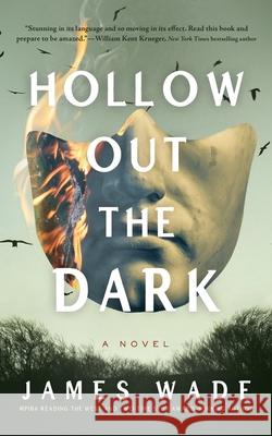 Hollow Out the Dark James Wade 9781982601119 Blackstone Publishing - książka