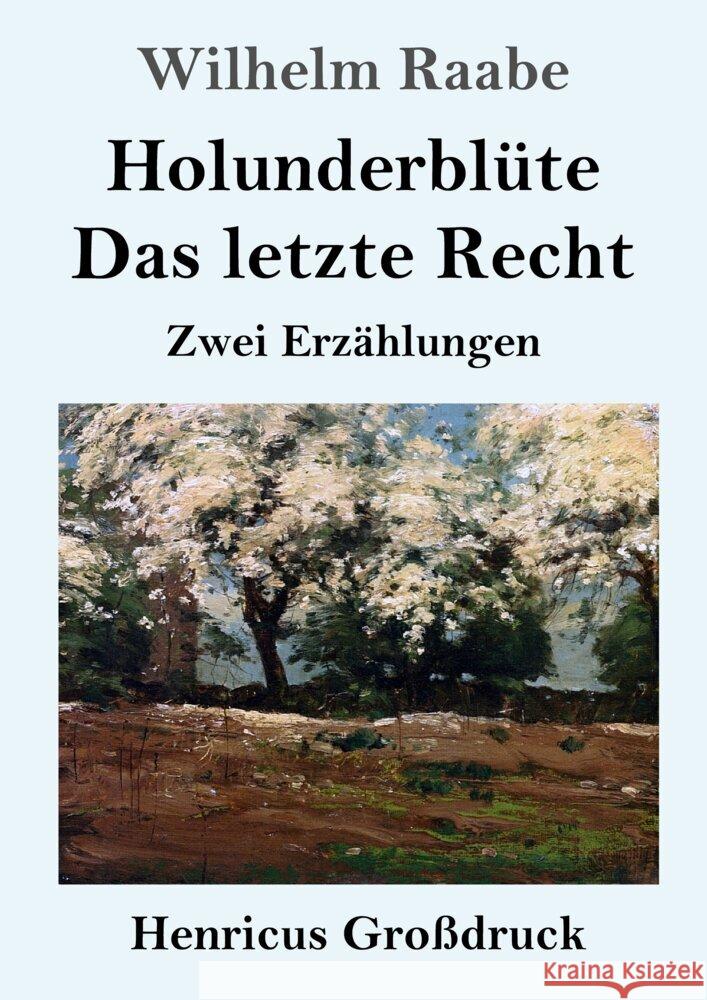 Holunderblüte, Das letzte Recht (Großdruck) Raabe, Wilhelm 9783847856399 Henricus - książka