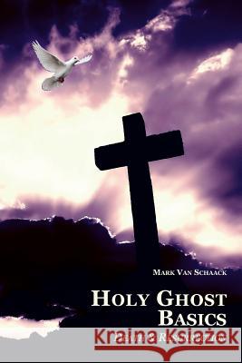 Holy Ghost Basics: Death and Resurrection Van Schaack, Mark 9781425989149 Authorhouse - książka