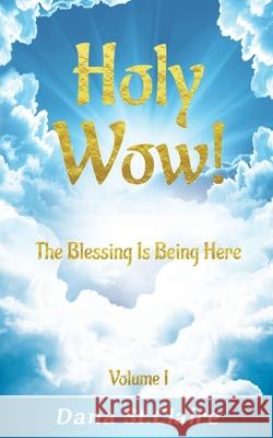 Holy Wow!: The Blessing Is Being Here Dana S 9781733105903 Maylaigh Media - książka