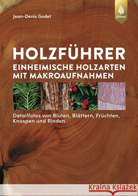 Holzführer : Einheimische Holzarten mit Makroaufnahmen. Detailfotos von Blüten, Blättern, Früchten, Knospen und Rinden Godet, Jean-Denis 9783800184385 Verlag Eugen Ulmer - książka