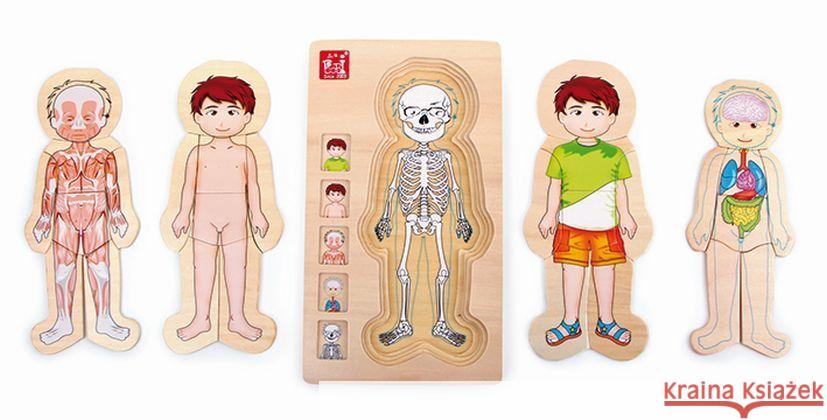 Holzpuzzle Anatomie Tim (Kinderpuzzle) small foot 4020972058423 Legler - książka