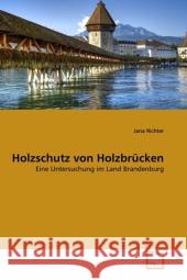 Holzschutz von Holzbrücken : Eine Untersuchung im Land Brandenburg Richter, Jana 9783639338324 VDM Verlag Dr. Müller - książka