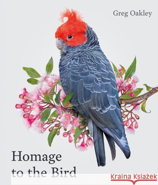 Homage to the Bird Greg Oakley 9781864709322 Images Publishing Group Pty Ltd - książka