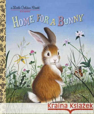Home for a Bunny Brown, Margaret Wise 9780307930095 Golden Books - książka