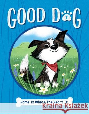 Home Is Where the Heart Is: #1 Cam Higgins Ariel Landy 9781098252021 Chapter Books - książka