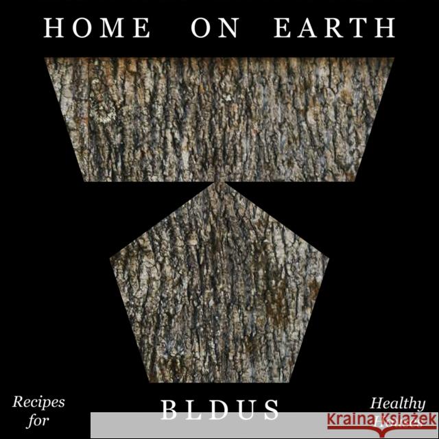 Home on Earth: Recipes for Healthy Houses Andrew Linn 9781961856516 Oro Editions - książka